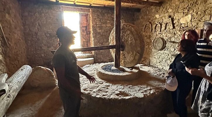 Antik Çağ'dan Tropikal Esintilere: Gazipaşa Deluxe Kültür ve Gastronomi Turu